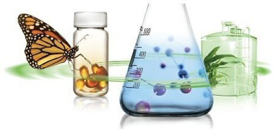 Chitin, biomaterial, strength, mechanical properties, lobster, crab, insect