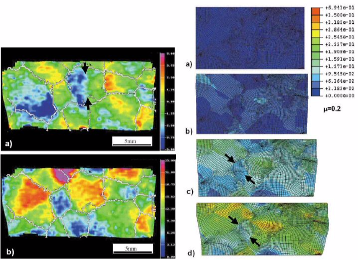 Grain scale digital image correlation at microstructure scale