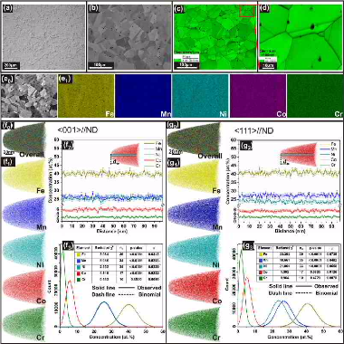 Homogenized microstructure: (a) OM image; (b) SE image; (c, d) low- and high-resolution EBSD phase maps with image quality overlay; (e) EDX maps of the same area; (f, g) element distribution analyses