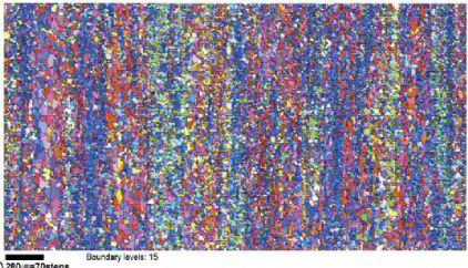 Texture of stainless steel through the sheet thickness: EBSD mapping (using a colour code for the crystallographic axis parallel to ND) of recrystallized FSS sheets; measured from (a) the center layer (s=0) of the conventionally rolled sample.