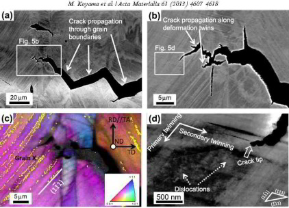 ECCI and EBSD maps of hydrogen embrittlement in TWIP steel (Acta Materialia 61 (2013) 4607).