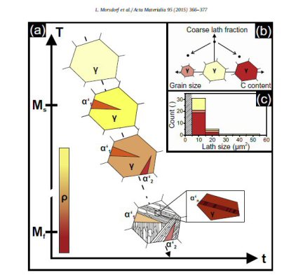 L. Morsdorf et al. / Acta Materialia 95 (2015) 366–377: (a) Schematic representation of the initial and final stages of martensitic transformation in one prior austenite grain along a model time–temperature curve with colorcoded defect density (for simpli