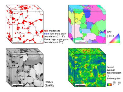 Dual phase steel microstructure revealed by 3D EBSD.