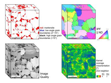 Dual phase steel microstructures studied 3D EBSD. Microstructures and Properties of Dual Phase Steels