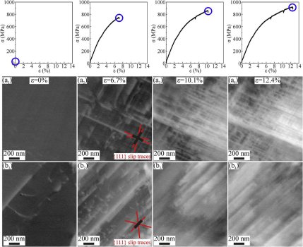 Interstitial high entropy alloy: In-situ ECCI observations of SF formation during tensile testing in (a) large (grain size ~7.8 mm); and (b) small (grain size ~3 mm) FCC g grains. The engineering stress strain curves given above indicate the corresponding