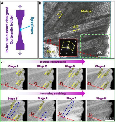 In-situ deformation study conducted in the low angle annular dark-field scanning transmission electron microscope (LAADF-STEM). (a) Schematic illustration of the in-situ deformation set-up: an in-house custom-made Cu tensile holder (in purple) with a TEM 