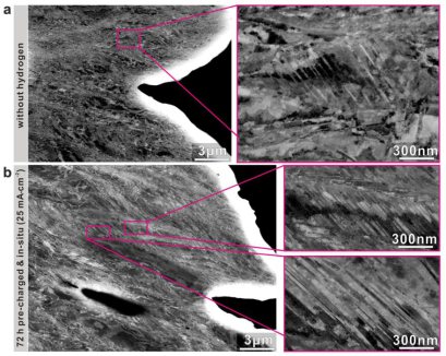 ECC images of deformation microstructures near the fracture surfaces of CoCrFeMnNi HEA  samples without and with hydrogen. (a) A few deformation induced nanotwins formed in the fractured sample  without hydrogen. (b) High density of nanotwins in the fract