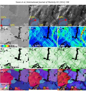 Texture, microstructure and damage in DP steels.