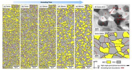 Ultra fine grained medium manganese steel microstructure:EBSD phase mapping of the steel samples intercritically annealed at 800 C for (a) 3 min, (b) 5 min, (c) 10 min, (d) 30 min and (e) 60 min; (f) Correlative ECCI and EBSD results for the 5 min anneale