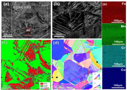 Combined ECCI, EBSD and EDS analysis on the coarse-grained dual-phase HEA prior to deformation: (a) ECC image with relatively low magniﬁcation; (b) ECC image of the smaller marked region in (a) showing the martensite laths; (c) EBSD phase and boundary map