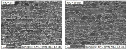 The images show the influence of holding time during intercritical annealing on microstructure. Both samples are from the 17C-Mn steel and were heated at a rate of 20 K/s up to 730°C, then held for 2 s (a) and 10 min (b) before quenching with hydrogen.