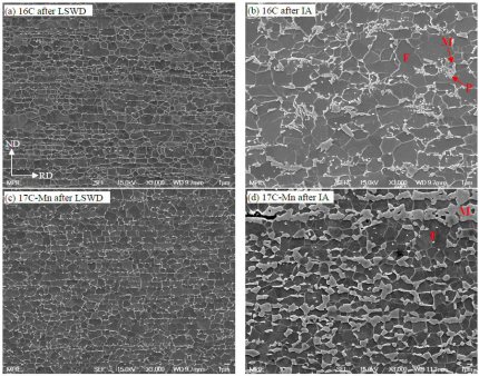 Microstructure after large strain warm deformation (LSWD) of the 16C steel (a) and 17C-Mn steel (c) and after intercritical annealing (IA) (b), (d). F: ferrite, M: martensite, P: pearlite. Indication of RD and ND counts for all images.