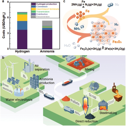 A pathway toward sustainable steel production via ammonia-based direct reduction.
