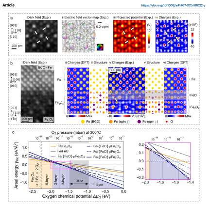 a Experimental (Exp.) differential phase contrast (DPC) - four-dimensional scanning transmission electron microscopy (4DSTEM) reconstruction for Fe3O4[110]: i Reconstructed virtual dark-field image ii Electric field vector map iii Projected electrostatic 