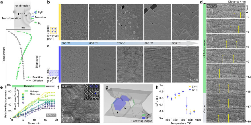 Dynamic surface topological reconstruction via a ledge growth mechanism. (a) A general concept of the displaced reaction-transformation that occurs when the diffusion rate outperforms the reaction rate in an individual reaction. Here, blue and green spher