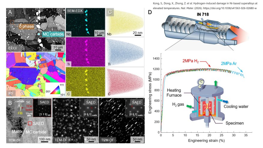 Microstructure of the studied material (IN 718 alloy) commonly used in gas turbines/jet engines and the influence of high-temperature H2 atmosphere (400 ˚C) on the tensile properties. (A) The electron channeling contrast imaging (ECCI), electron backscatt