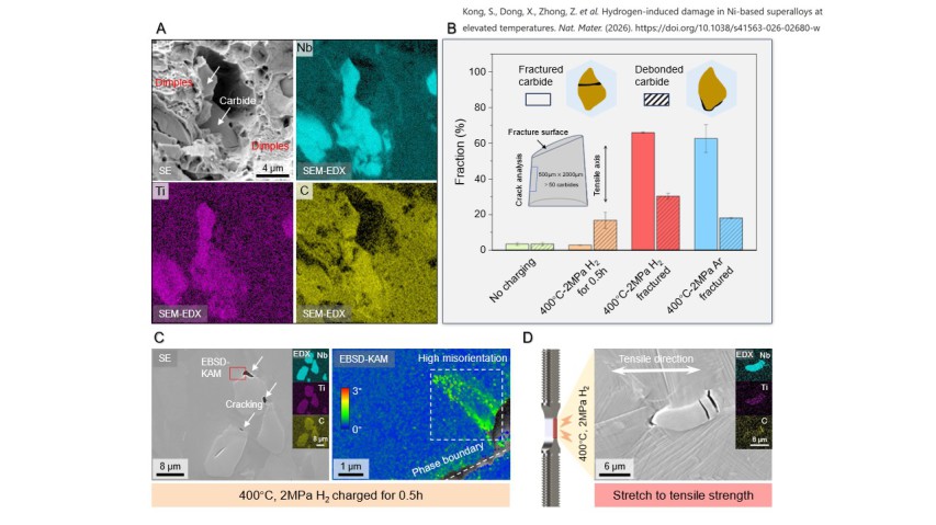 . 3 H-induced damage behavior at 400 ˚C. (A) Representative second electron (SE) image and the corresponding SEM-EDX mapping of the fracture surface of the sample failed in H atmosphere. (B) Statistical analysis of micro-cracks in longitudinal section of 
