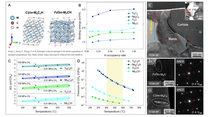 Thermodynamics and experimental validation of H-vacancy interactions at elevated temperatures. (A) Atomic configurations of H-filled vacancy-ordered carbides, M6C5H and M2CH. (B) Variation in binding energy per H atom as a function of H occupancy rate in 