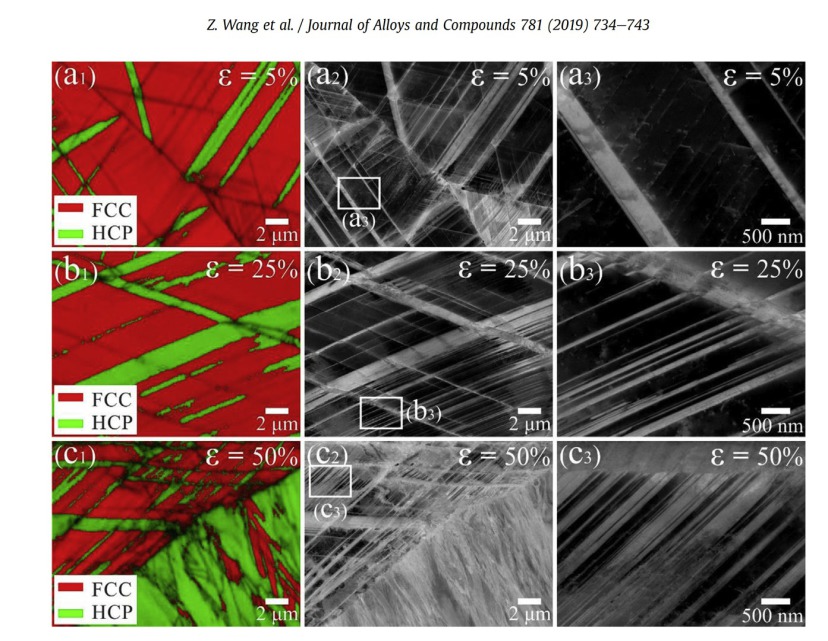 EBSD maps and ECC images of the CG iHEA after (a) 5% strain, (b) 25% strain, and (c) 50% strain at 77 K. (3) shows zoom-in images for the marked regions in (2). CG refers to the coarse-grained iHEA, and ε refers to the global engineering strain.