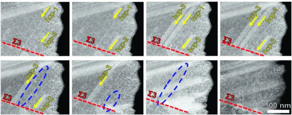 Figure 5. In situ low-angle annular dark-field scanning transmission electron microscope observation of a bidirectional transformation induced plasticity effect in a composition-tuned metastable high-entropy alloy. The local strain increases from the top