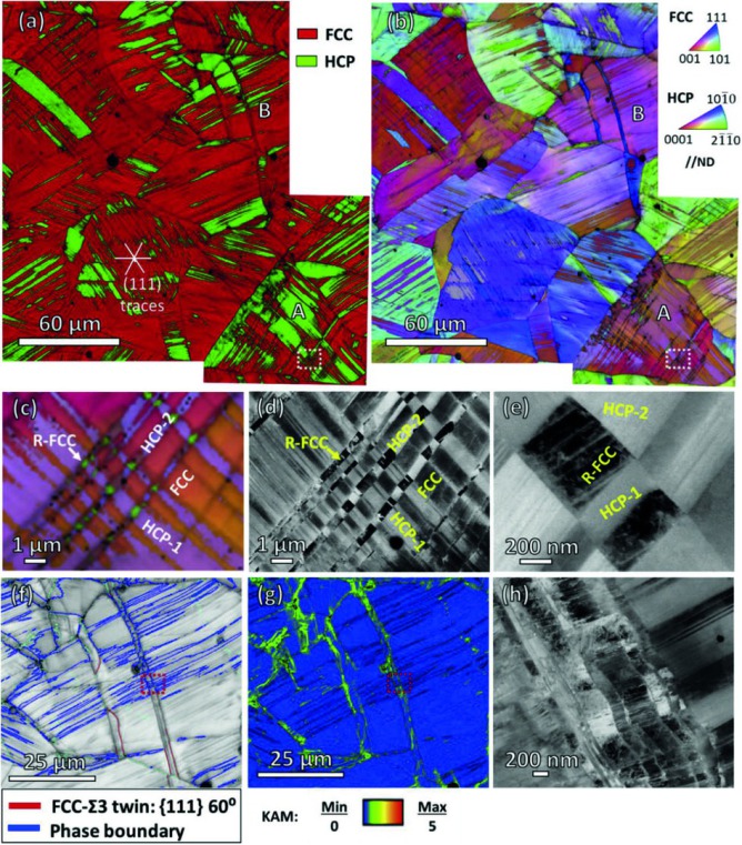 As-rolled microstructure at a thickness reduction of 14%. (a) Phase map; (b) IPF map; (c) and (d) Enlarged IPF map and ECC image of the white rectangular region in grain 'A' showing two HCP variants and reverted FCC phase; (e) ECC image zooming in the rev