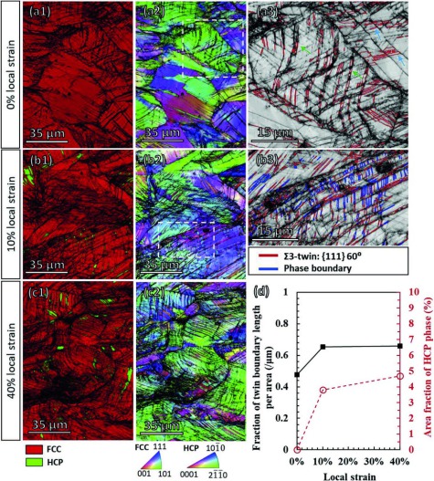 Metastability Interstitial High Entropy Alloy Design Fig 9.jpg Deformation microstructures of the tempered 34% rolled specimen during tensile testing at local strains of (a) 0%, (b) 10%, and (c) 40%, where (1) refers to phase maps, (2) IPF maps, and (3) e