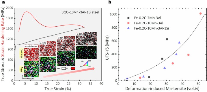 Figure 8. (a) True stress – strain curve, strain-hardening response and the evolution of microstructure upon deformation of an MMnS (0.2C-10Mn-3Al-1Si, in wt-%), intercritically annealed at 750°C for 5 min. The steel possesses an austenite-ferrite twophas