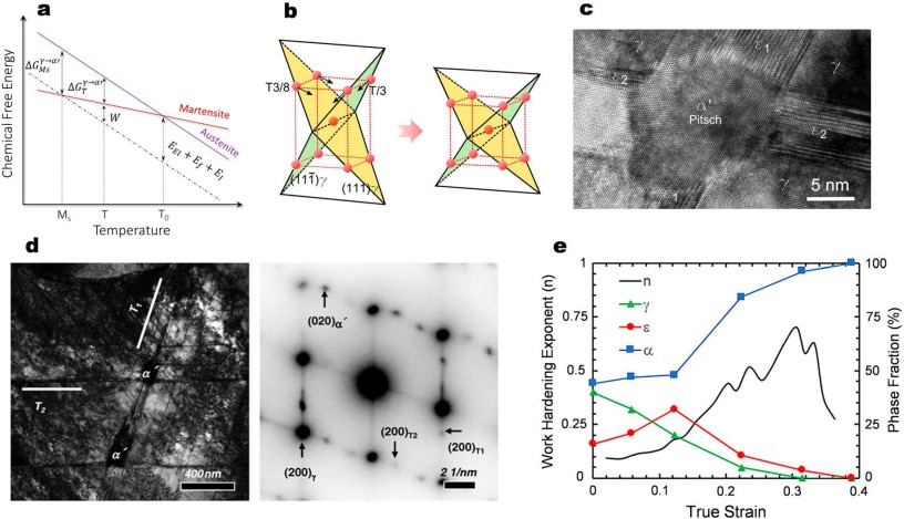 Figure 9. (a) Schematic illustration showing the chemical free energy change of austenite and martensite as a function of temperature [ 129]. (b) Schematic diagram of the Bogers and Burgers model for austenite-to- α′-martensite transformation [ 134]. The