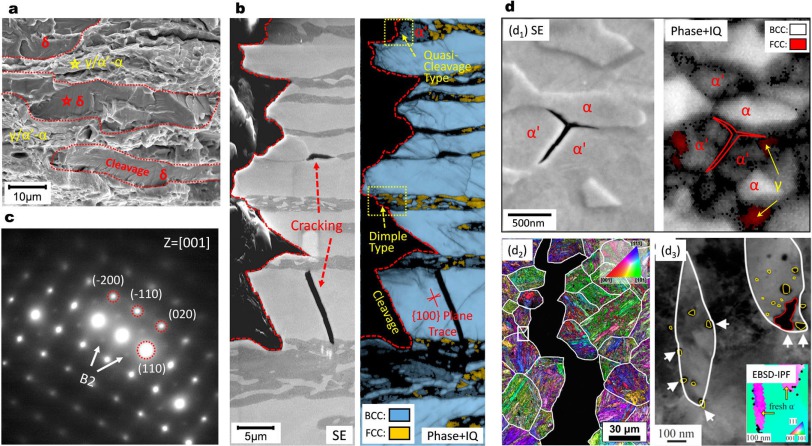 Figure 16. (a) Typical fracture surface and (b) cracking behaviour in a high-Al, high-Si added MMnS (0.2C-10Mn-3Al-3Si, wt-%) containing coarse grained δ-ferrite (the Al and Si contents in δ-ferrite are ∼4 and ∼3.5 wt-%, respectively). (c) Selected area d