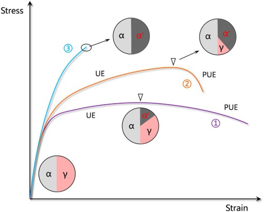 Figure 17. Schematic diagram showing the e ffects of deformation-induced martensite on the tensile behaviour in three hypothetical MMnS with initially a ferrite-austenite twophase steel and different austenite mechanical stabilities (the strain point corr