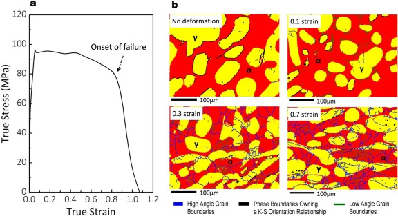 Figure 24. (a) True stress– strain curve of a 0.2C-10Mn-3Al-3Si steel subjected to hot torsion testing at 1000°C and 1 s-1; (b) Microstructure evolution of the same steel during hot compression at the same temperature and strain rate, showing a higher ext