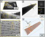 Atom probe tomography, nanolayers, metallic glass