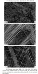 Electron channeling contrast imaging, dislocation structure, nanoindentation, ECCI, TWIP, steel, microstructure