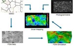 Microstructure digital image correlation crystal plasticity