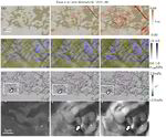 Microstructure digital image correlation crystal plasticity