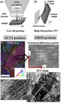 Overview TWIP twinning-induced plasticity ( TWIP ) steels, microstructure, ECCI, EBSDOverview TWIP twinning-induced plasticity ( TWIP ) steels, microstructure, ECCI, EBSD