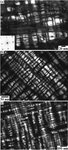 strain hardening TWIP twinning-induced plasticity ( TWIP ) steels, microstructure, ECCI, EBSD, weight reduced